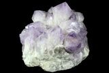 Wide Amethyst Crystal Cluster - Spectacular Display Piece #78154-3